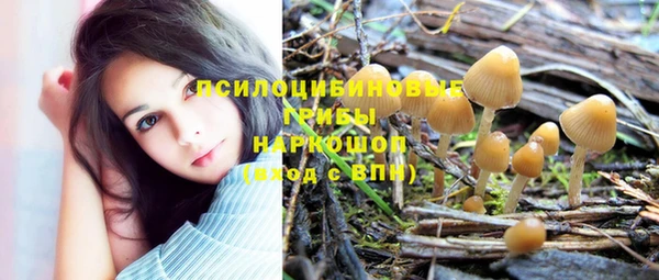 гашик Абаза