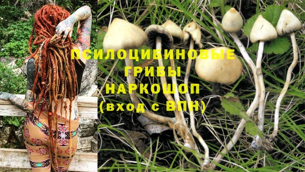 гашик Абаза