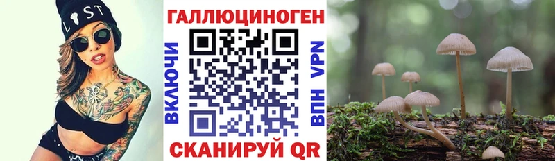 Псилоцибиновые грибы Psilocybe Сергач